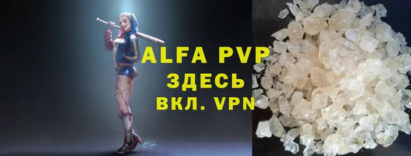 стаф Алексин