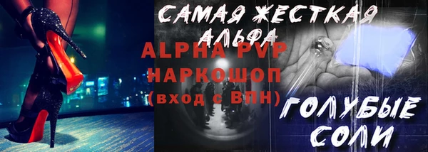 стаф Алексин