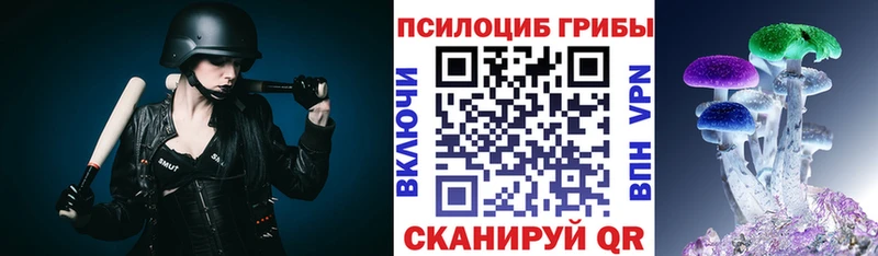 Галлюциногенные грибы GOLDEN TEACHER  где купить наркоту  Боровск 